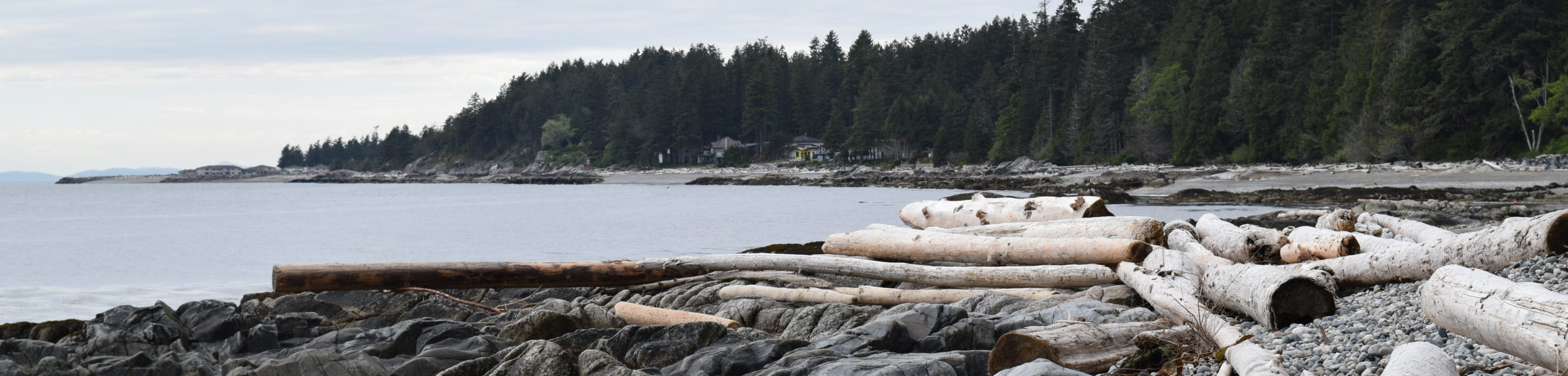 A photo of a beach in Robert's Creek