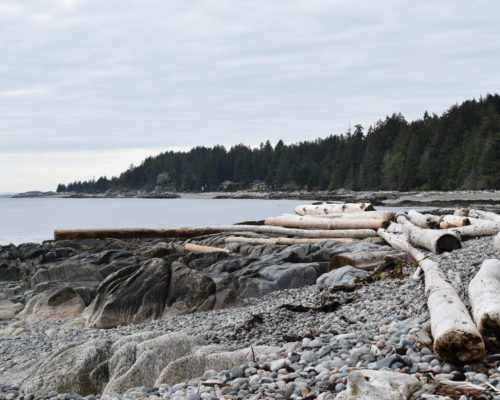 A photo of a beach in Robert's Creek
